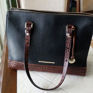 😀 Black with brown trimmings  Brahmin (New)
